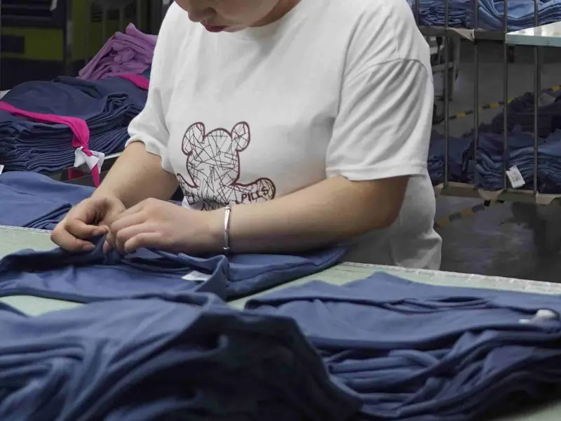 Illustrative inspection stage